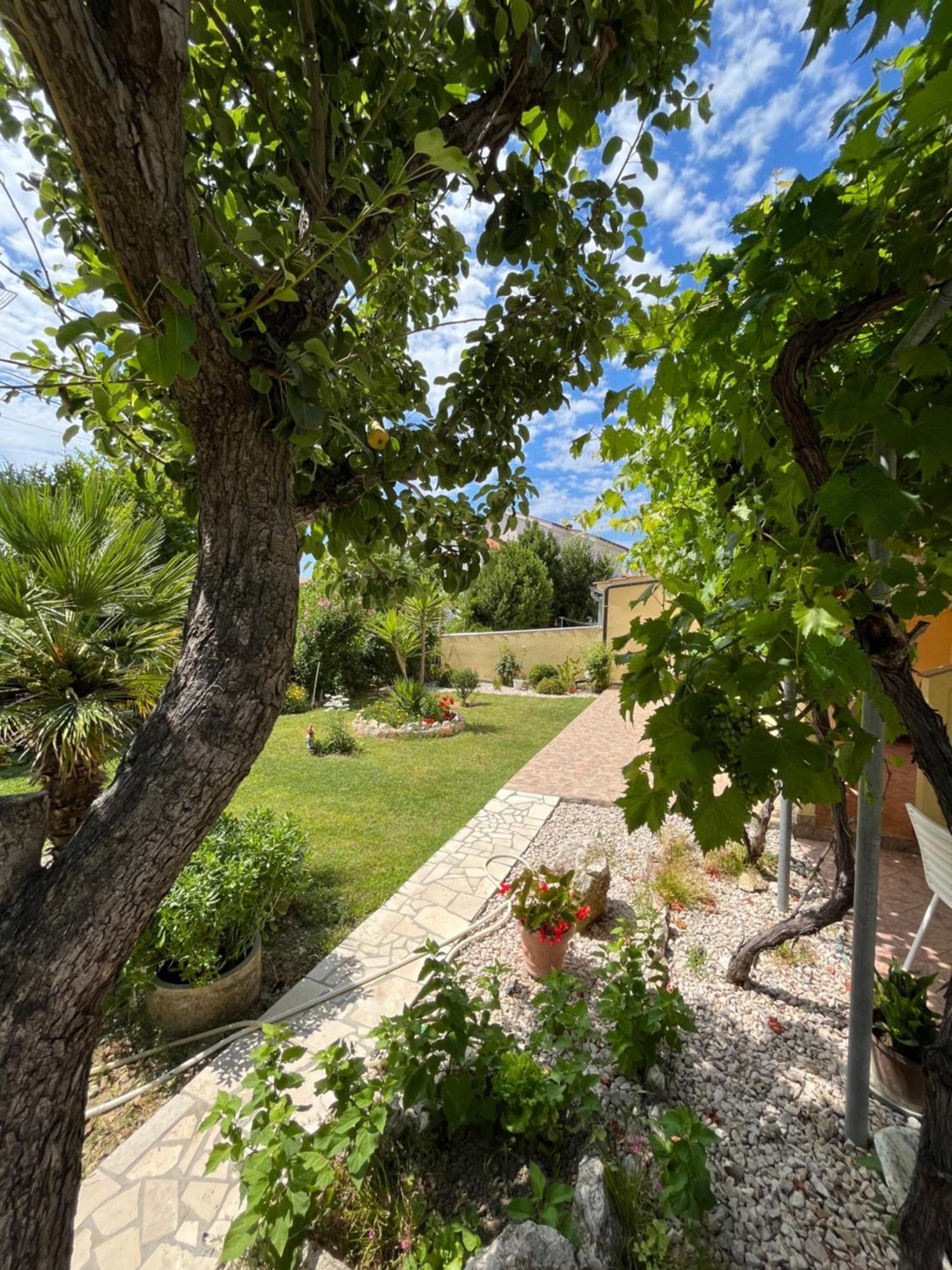 Apartments And Rooms Markovski Palit Exterior foto